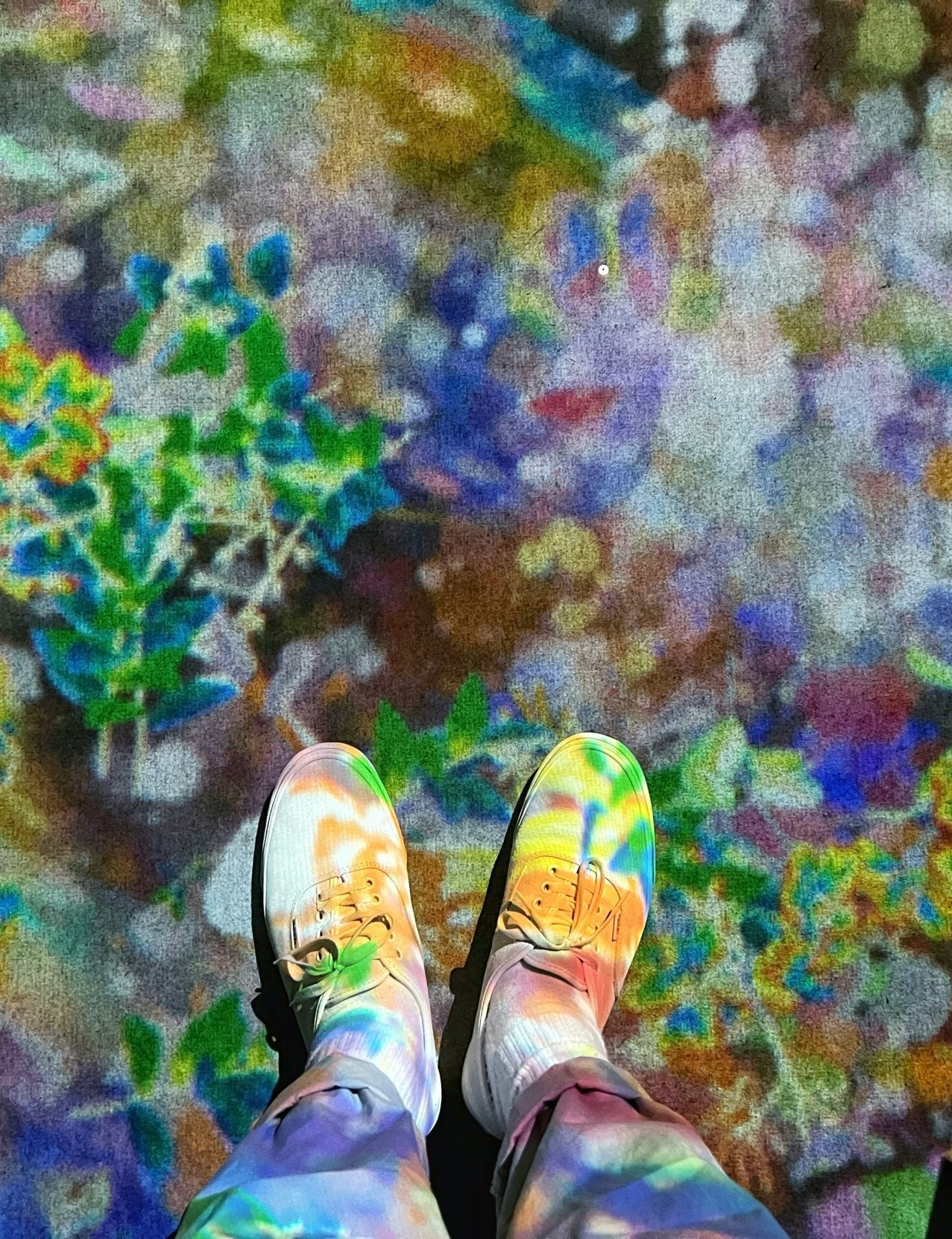 kleuren en patronen in de natuur